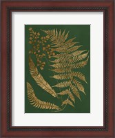 Framed Gilded Ferns I