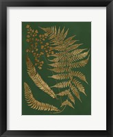 Framed Gilded Ferns I