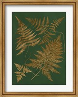 Framed Gilded Ferns II