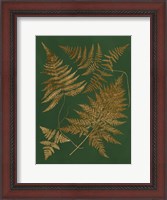 Framed Gilded Ferns II