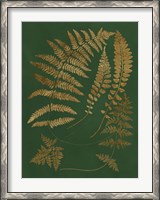 Framed Gilded Ferns III
