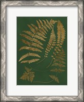 Framed Gilded Ferns III