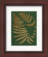 Framed Gilded Ferns IV
