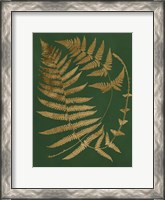 Framed Gilded Ferns IV