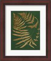 Framed Gilded Ferns IV