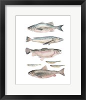 Framed 'Fish Composition I' border=