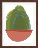 Framed Mod Cactus III