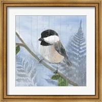 Framed Eastern Songbird II