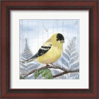 Framed Eastern Songbird III