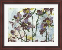 Framed L'orchidee II