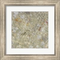 Framed Shell Squares I