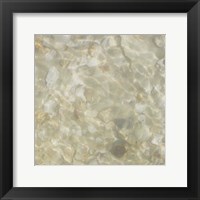 Shell Squares IV Framed Print