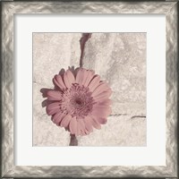 Framed Stone Blossom I