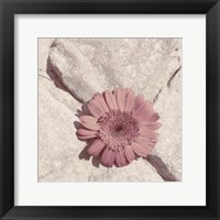 Framed 'Stone Blossom II' border=