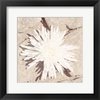 Framed Stone Blossom III