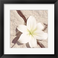 Stone Blossom IV Framed Print