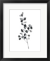 Brume Botanical III Framed Print