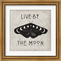 Framed 'Live by the Moon I' border=