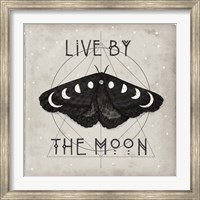 Framed Live by the Moon I