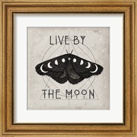 Framed 'Live by the Moon I' border=
