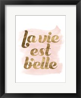 La Vie in Pink III Framed Print