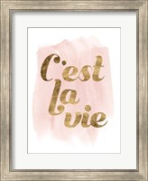 Framed La Vie in Pink IV