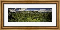 Framed Mt Rainier Panorama