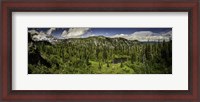 Framed Mt Rainier Panorama