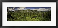 Framed Mt Rainier Panorama