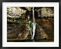 Framed Calf Creek Falls Crop