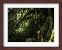 Framed Mossy Tempered Forest