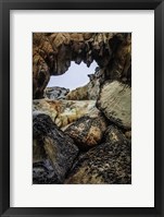 Framed Salt Point 2