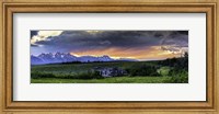 Framed Teton Mountains