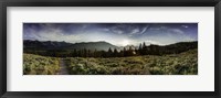 Framed Yellowstone Landscape