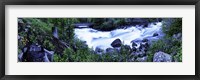 Framed Cascade Yellowstone