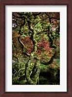 Framed Japanese Garden Tree 2