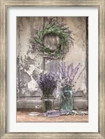 Framed Cutting Lavender
