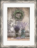 Framed Cutting Lavender