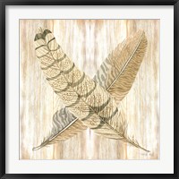 Framed Feathers Crossed I