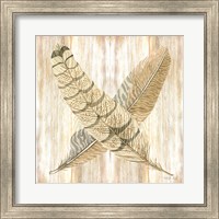 Framed Feathers Crossed I