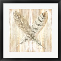 Framed Feathers Crossed II