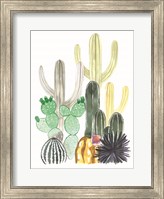 Framed Cacti Party