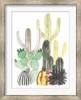 Framed Cacti Party