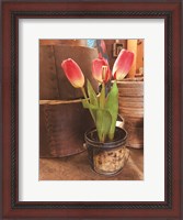 Framed Tulip Simplicity