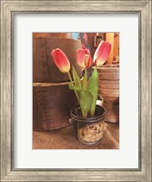 Framed Tulip Simplicity