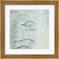 Framed Swimming Fish