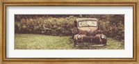 Framed Rusty Clearing