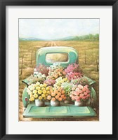 Framed Flowers for Sale