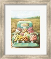 Framed Flowers for Sale