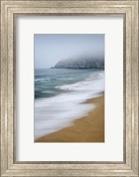 Framed Gray Whale Cove